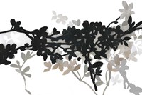 Apple Bloom II Fine Art Print