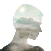 Mural Contour I Fine Art Print