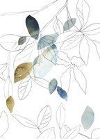 Frond II Fine Art Print