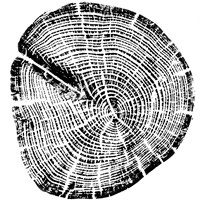 Wood Grain Fine Art Print