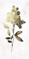 Gold Botanical I Fine Art Print