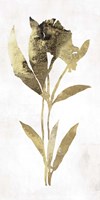 Gold Botanical III Fine Art Print