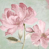 Candy I Framed Print