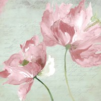 Candy II Framed Print