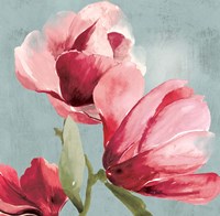 Sweetpea I Framed Print