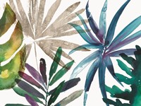 Tropic Sway II Framed Print