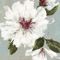 Olivia II Framed Print