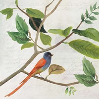 Singing Bird II Fine Art Print
