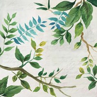 Lush Leaves Fine Art Print