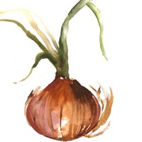 Onion Framed Print