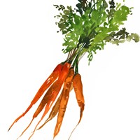 Carrot Fine Art Print