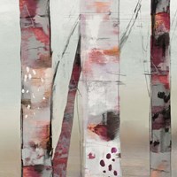 Sunset Birch III Framed Print