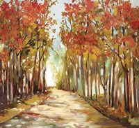 Sunny Path Fine Art Print