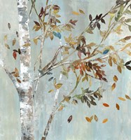 Birch with Leaves I Fine Art Print