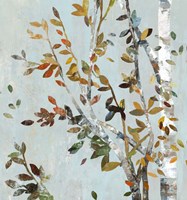 Birch with Leaves II Fine Art Print