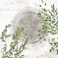 Eco I Fine Art Print