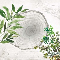 Eco II Fine Art Print