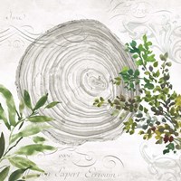 Eco III Fine Art Print