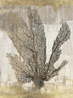 Coral Splendor I Fine Art Print