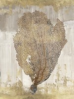 Coral Splendor III Fine Art Print