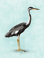 Seashore Bird I Framed Print