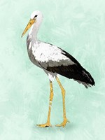 Seashore Bird II Fine Art Print
