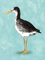 Seashore Bird III Fine Art Print