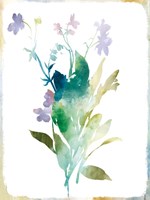 Summer Botanical I Framed Print