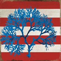 Marine Coral I Fine Art Print