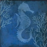 Navy Sea horse Fine Art Print