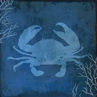 Navy Sea Crab Fine Art Print