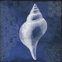 Navy Shell I Fine Art Print