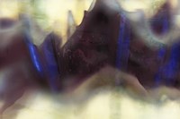 Wave I Fine Art Print