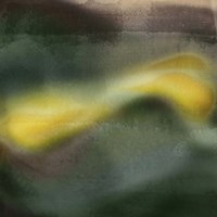 Woosh II Fine Art Print