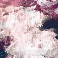 Abstract Roses Fine Art Print