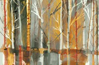 Sunset Fine Art Print