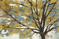 Soleil Fine Art Print