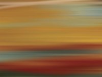 Fit I Fine Art Print