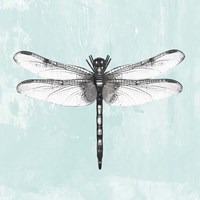 Dragonfly I Fine Art Print