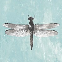 Dragonfly III Fine Art Print