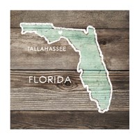 Florida Rustic Map Fine Art Print