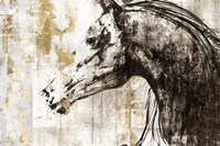 Equestrian Gold IV Fine Art Print