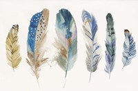 Feather Weather II Fine Art Print