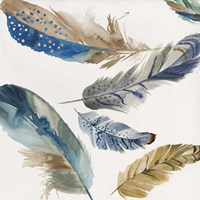 Feather Weather I Fine Art Print
