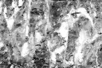 Black and White Abstract III Framed Print