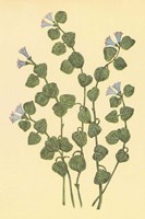 Patridge Berry Fine Art Print