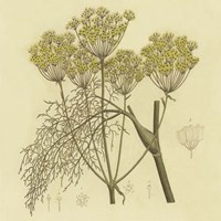 Yellow Weeds Fine Art Print