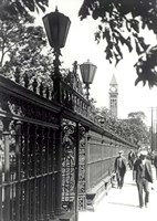 Walking Fine Art Print