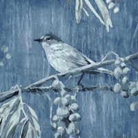 Denim Songbird I Fine Art Print