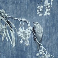 Denim Songbird II Framed Print